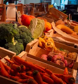521-biocoop-arelate-arles-magasin-bio-fruit-legume-local-saison.webp